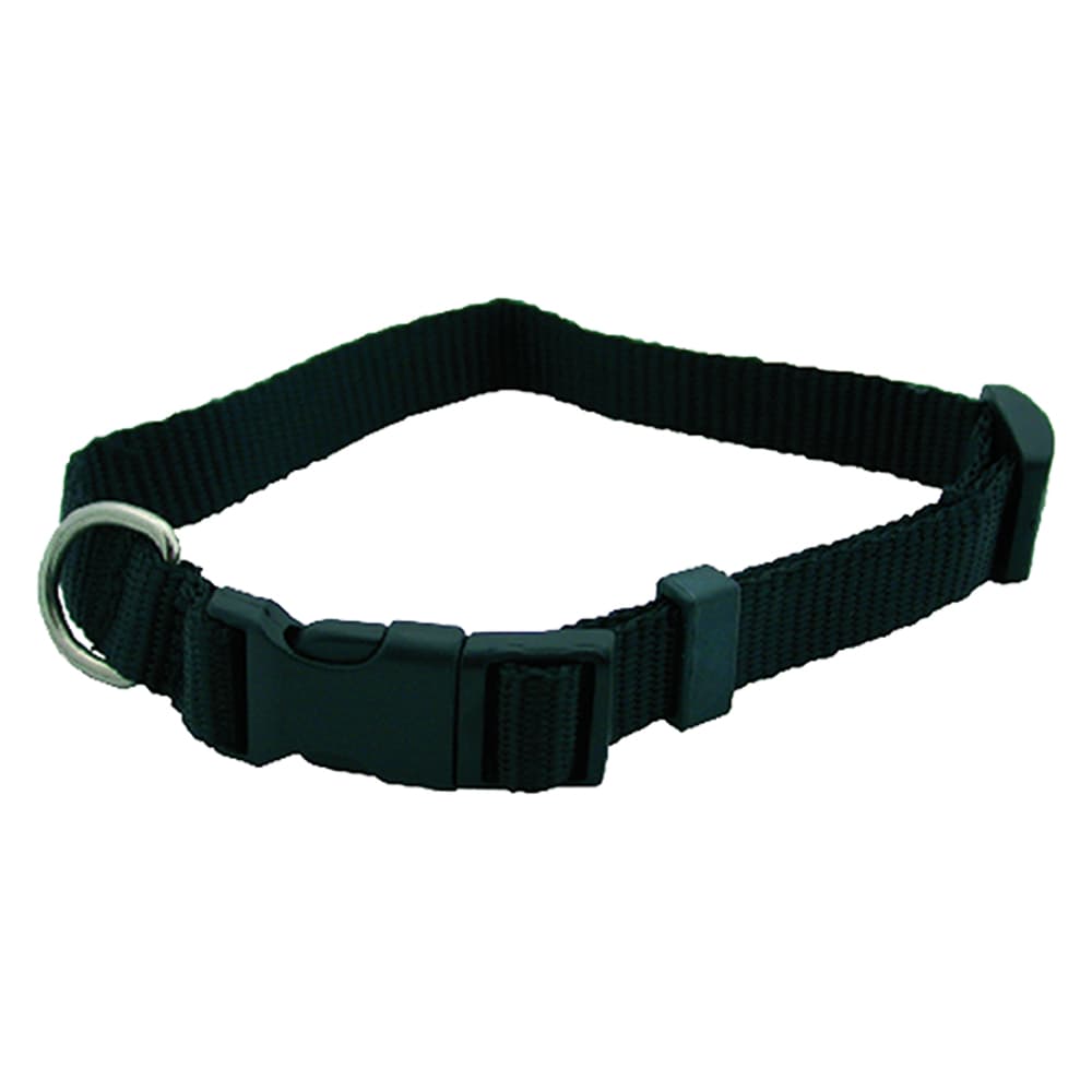 Collare per Cane x 6 Pezzi 12 mm 30 cm - 2