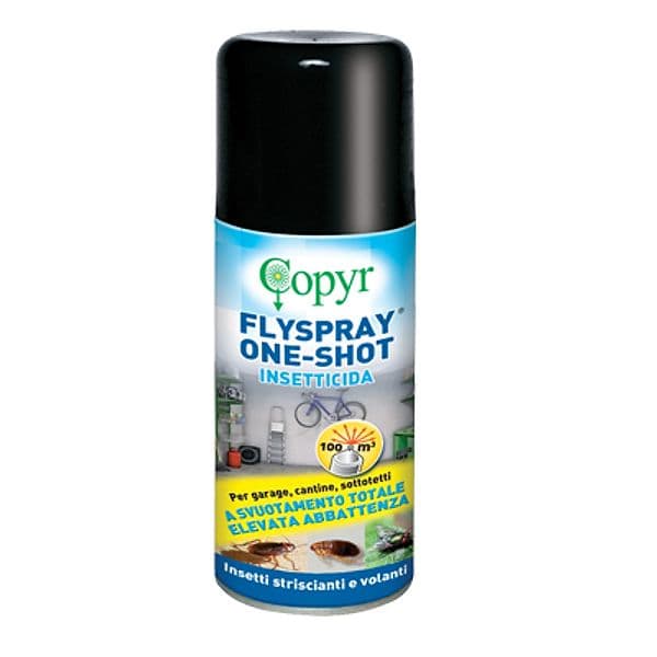 Insetticida Volanti e Striscianti Flyspray Copyr 150 ml 5 Pezzi - 2