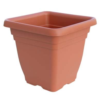 Vaso Quadro Laurus Ics Pp Terracotta H 40 x 40 cm 36 cm 6 Pezzi - 2