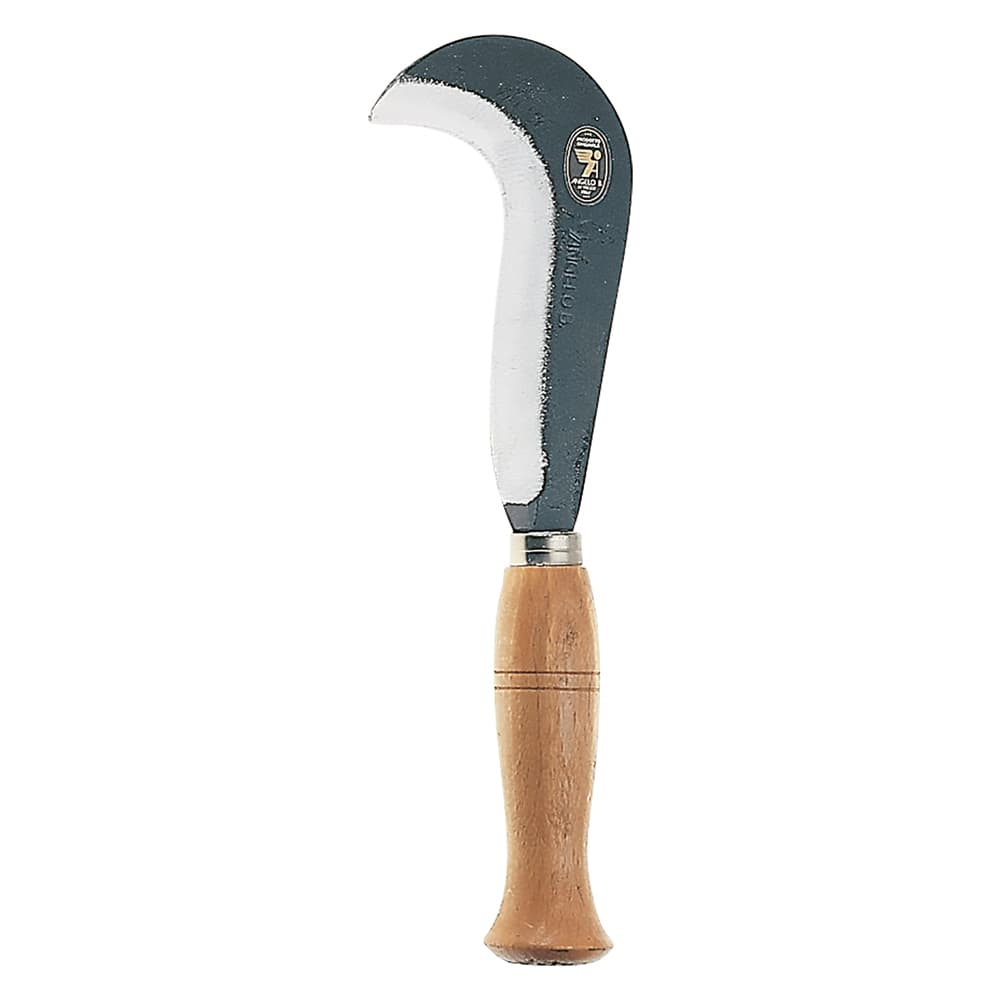Roncoletta da Vigna Angelob Orvieto 16 cm - 2
