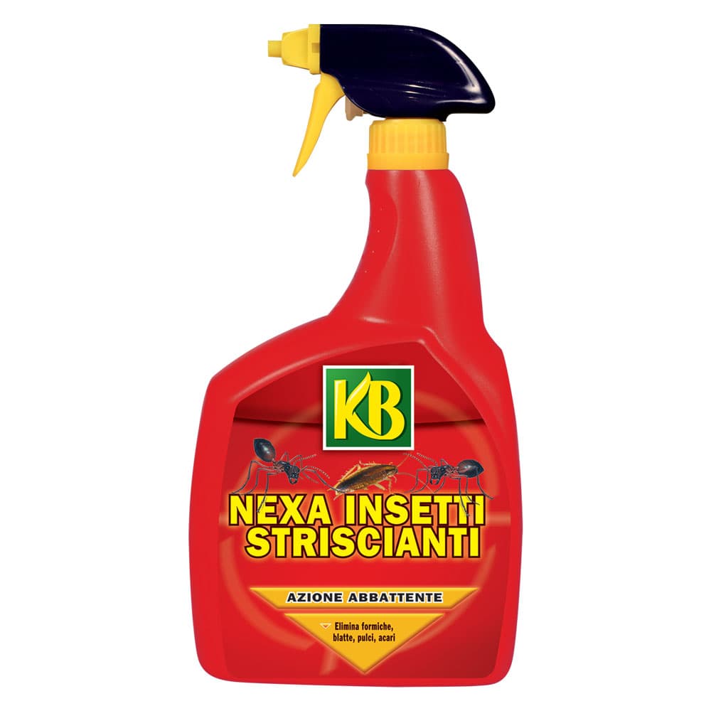 Insetticida Liquido Kb Nexa 12 Pezzi 750 ml - 2