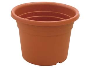 Vaso Cilindro Dahlia Ø 35 mm CMX25H. Ics 12 Pezzi - 2