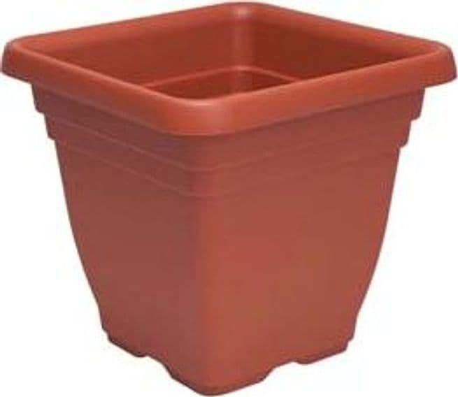 Vaso Quadro Laurus 30 CMX30X28H. Ics