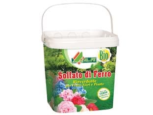 Concime Solfato di Ferro 5 kg in Secchio Alfe 4 Pezzi - 2
