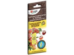 Trappola Biadesiva per Carpocapsa e Tignola Piante da Frutto PZ.3 3 3 Pezzi - 2