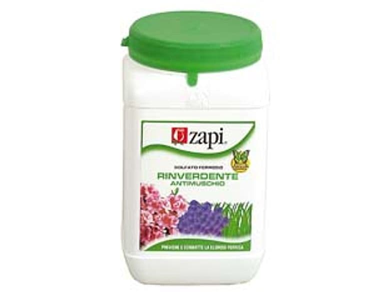 Concime con Solfato Ferroso 1 kg in Flacone Zapi 4 Pezzi - 2