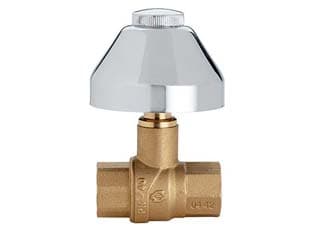 Valvola a Sfera Evolution Ff con Cappuccio Ff ½ Fiv - 2