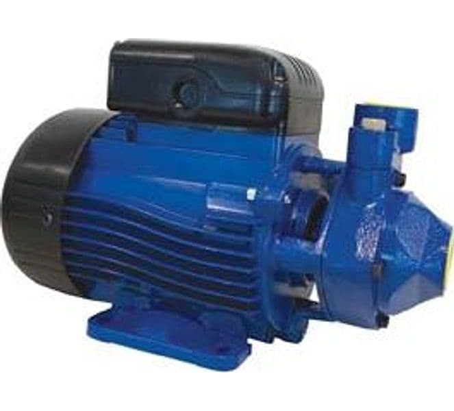 Elettropompa Periferica Aspirazione Frontale PM40 B 0,75 kW Lowara - 2