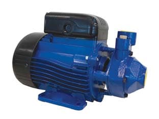 Elettropompa Periferica Aspirazione Frontale PM40 B 0,75 kW Lowara - 2