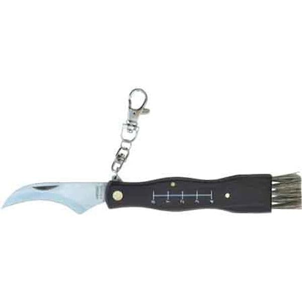 Coltello da Tasca per Funghi 19 cm - 2