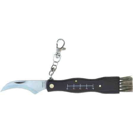 Coltello da Tasca per Funghi 19 cm - 2