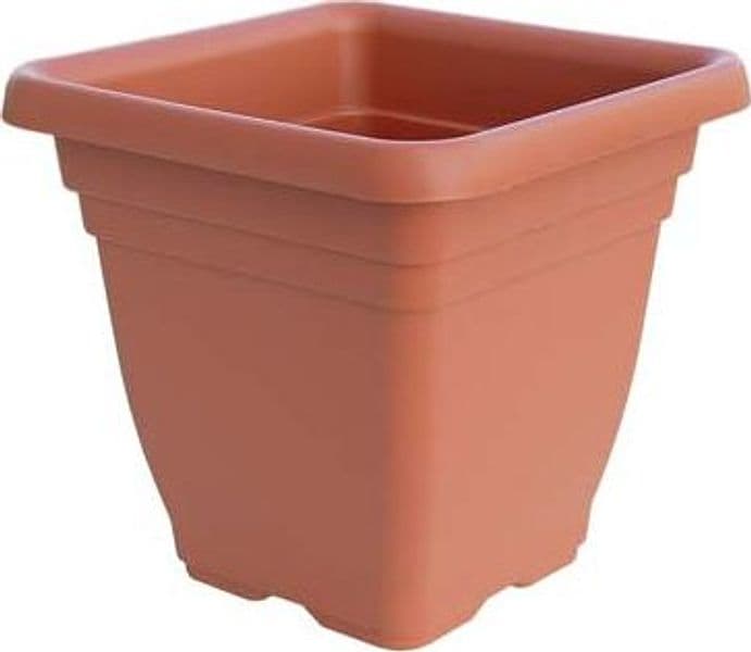 Vaso Quadro Laurus Ics Pp Terracotta H 25 x 25 cm 23 cm 6 Pezzi - 2