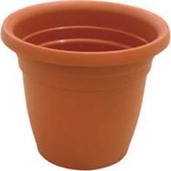 Vaso Campana Thea Ø 85 mm CMX57H. Ics - 2