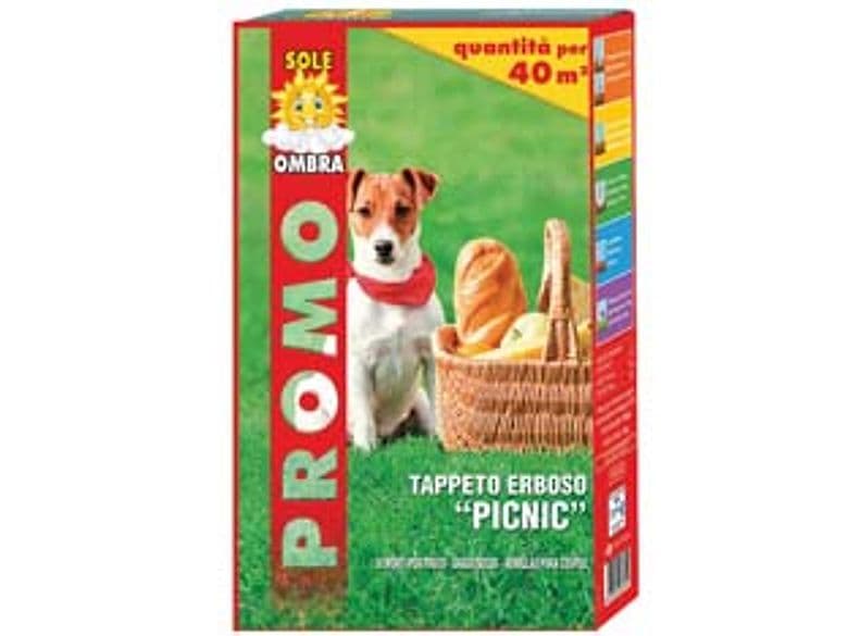 Semi Prato Ornamentale Picnic 1 kg per MQ.40 di Prato Franchi