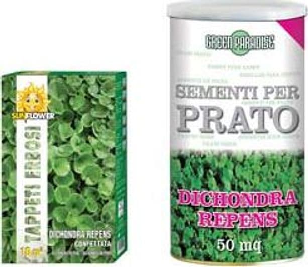 Semi Prato Dichondra Repens 100 g per MQ.10 di Prato Franchi 5 Pezzi - 2
