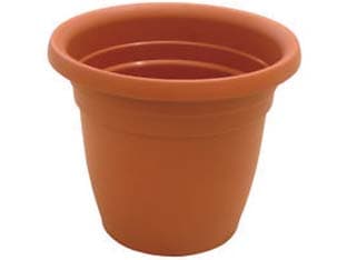 Vaso Campana Thea Ø 55 mm CMX37H. Ics - 2