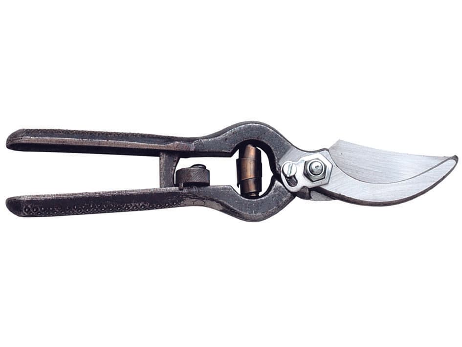 Forbice Pota Forgiata Professionale Chiusura a Rullo Spalla Nera 23 31200 - 2