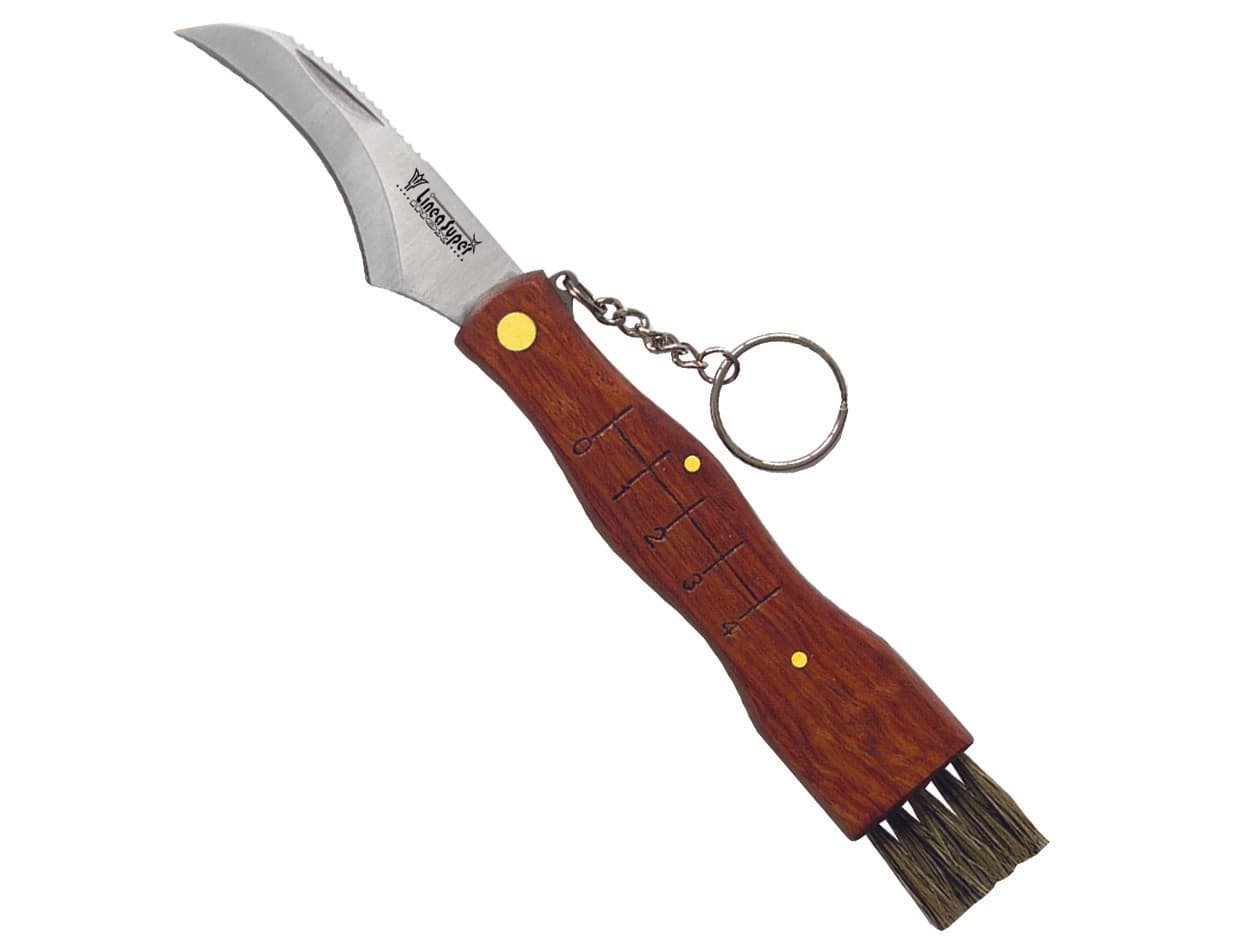 Coltello da Funghi Manico in Legno con Spazzolino 19 cm 19 cm 3 Pezzi - 2