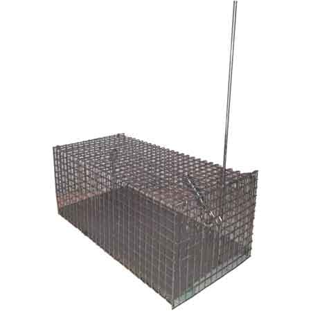 Trappola per Topi a Gabbia Grande 40 x 18 x 14 cm - 2