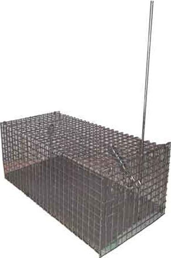 Trappola per Topi a Gabbia Piccola 20 x 10 x 8 cm - 2