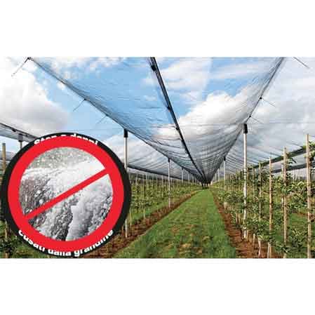 Rete Antigrandine Ideal Star Rotolo 4 x 100 m (Piegato 2 m) Colore Verde - 2