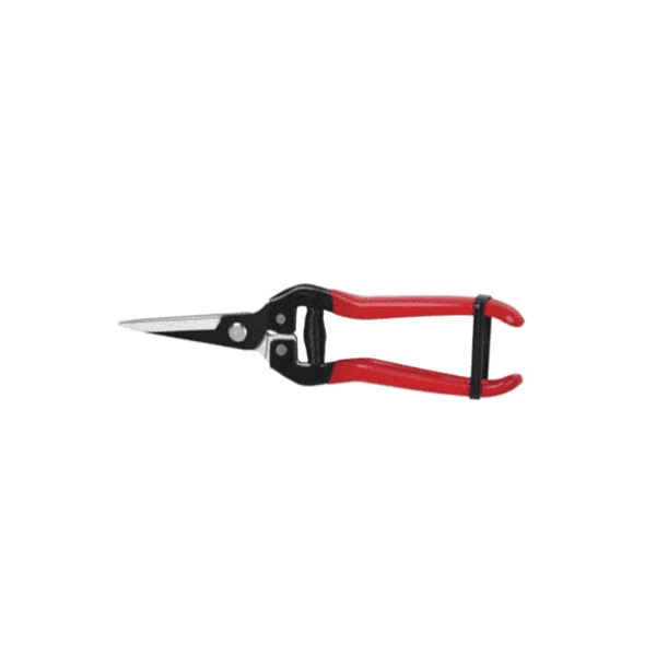 Forbici Coglifrutta e Ortaggi Ideal Star 19 cm - 2