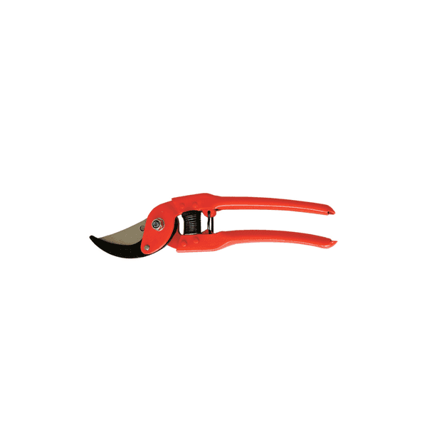 Forbici da Potatura 23 cm - 2