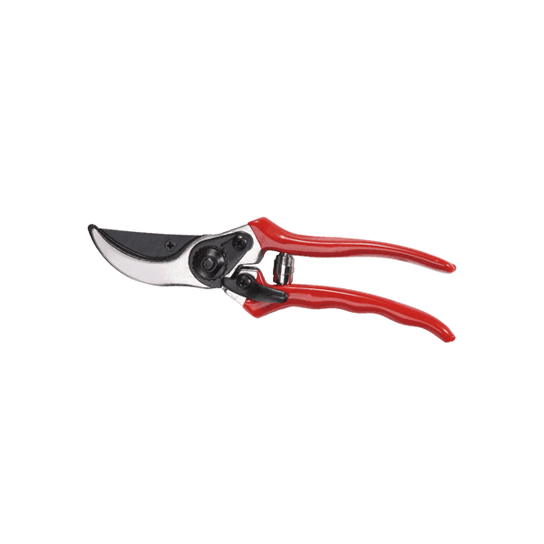 Forbici da Potatura Ideal Star 20 cm - 2