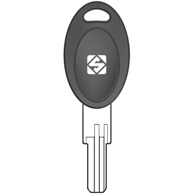 Chiave Punzonata Eurolocks EU21P Silca Ottone Nichelato 5 Pezzi - 2