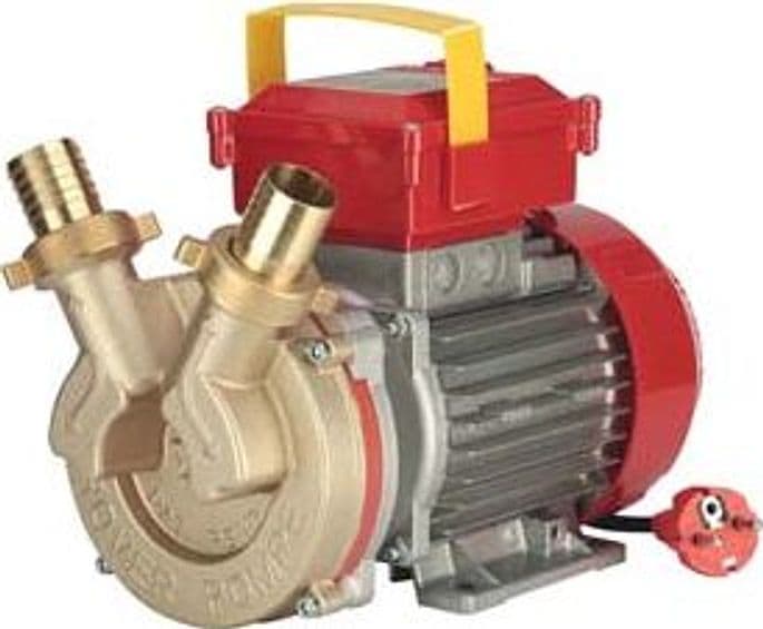 Elettropompa in Bronzo Bisenso da Travaso Rover 40 CE Rover