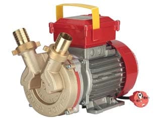 Elettropompa in Bronzo Bisenso da Travaso Rover 40 CE Rover - 2