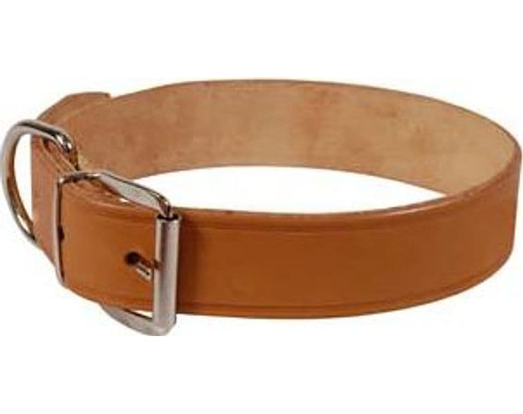 Collare per Cani Cuoio Extra Naturale con Finta Cucitura 65 CMX4 6 Pezzi - 2