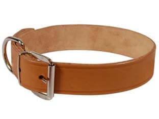 Collare per Cani Cuoio Extra Naturale con Finta Cucitura 65 CMX4 6 Pezzi - 2