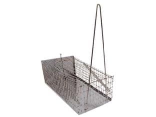 Trappole Pesanti a Galleria per Topi 30 CMX16X12H 2 Pezzi - 2
