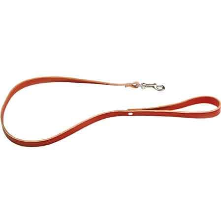 Guinzaglio per Cani con Moschettone 10 x 900 mm - 2