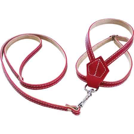 Parure per Cani 10 x 600 mm - 2