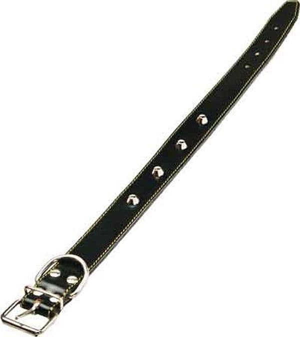 Collare per Cani Foderato con Borchie 16 x 370 mm - 2