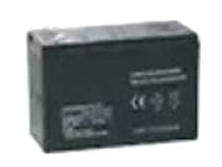 Batteria per Pompa a Zaino a Litio Il Campo - 2