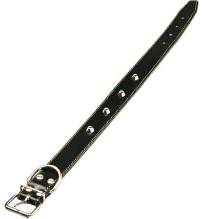 Collare per Cani Foderato con Borchie 20 x 440 mm - 2