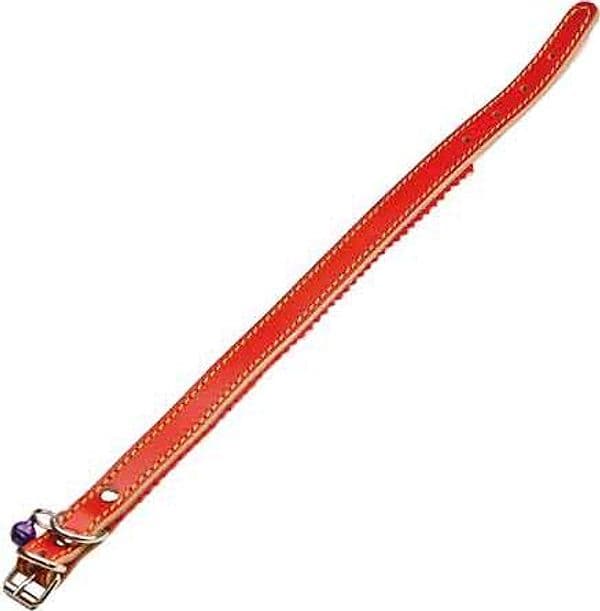 Collare per Cani Foderato con Campanello 12 x 330 mm - 2