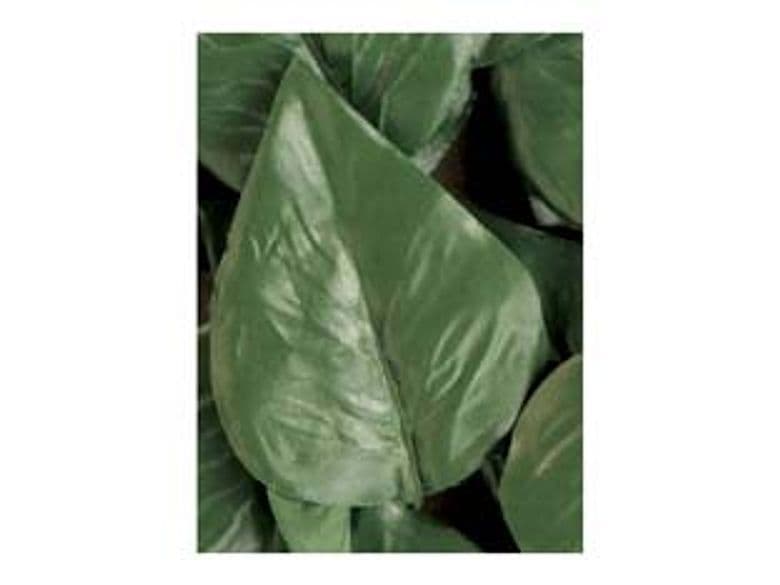 Foglie Lauro di Ricambio per Siepe Artificiale PZ.20 Trex - 2