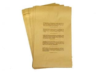 Sacchetti di Carta per CL15DJ e GN18 (10001 08158) 1 Busta Lavorwash - 2