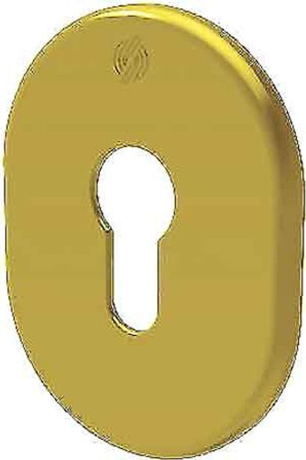 Mostrina Esterna Interna per Cilindro Europeo 4302 Securemme Colore Ottone