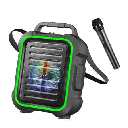 Altoparlante Wireless con Microfono Lostech Potenza 15 W - 2