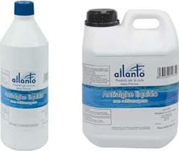 Antialghe Liquido Non Schiumogeno 5 l in Tanica Ailanto - 2