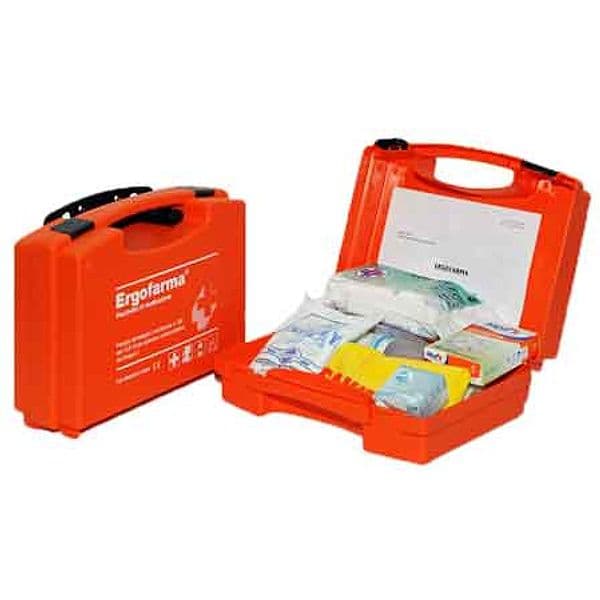 Cassetta Pronto Soccorso Allegato 2 29,5 x 20,5 x 10 cm - 2