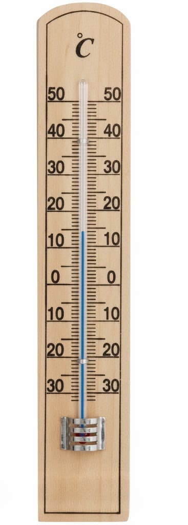 Termometro Legno Eco Chiaro 200 MMX36 Molletherm 5 Pezzi - 2