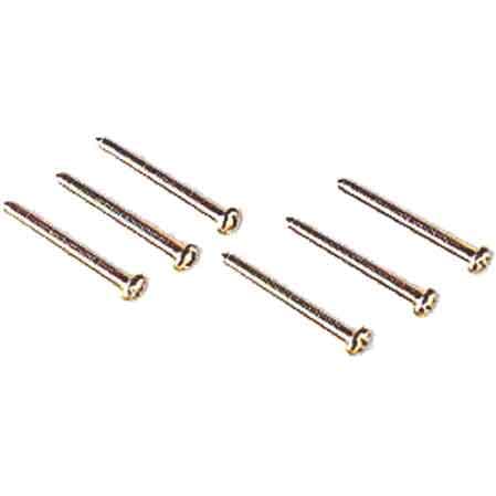 Viti per Supporti 50 mm Ec Elettrocanali 100 Pezzi - 2