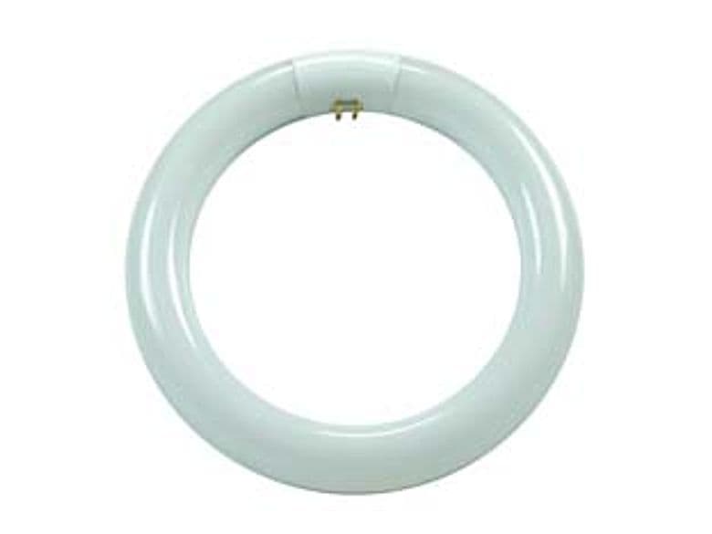 Circoline Trifosforo Fluorescenti T9 G10Q 32 W 4200 °k Naturale 6 Pezzi - 2