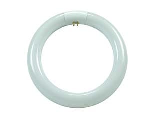 Circoline Trifosforo Fluorescenti T9 G10Q 32 W 6500 °k Fredda 2000 6 Pezzi - 2